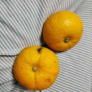 ヒメ日記 2024/12/21 21:45 投稿 Yui ワンカラット～人妻の輝き～