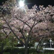 ヒメ日記 2025/04/06 06:44 投稿 Yui ワンカラット～人妻の輝き～