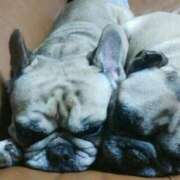 ヒメ日記 2025/04/14 06:09 投稿 Yui ワンカラット～人妻の輝き～