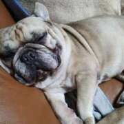 ヒメ日記 2025/04/26 06:07 投稿 Yui ワンカラット～人妻の輝き～