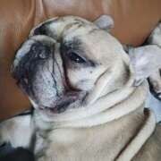 ヒメ日記 2025/05/08 05:50 投稿 Yui ワンカラット～人妻の輝き～