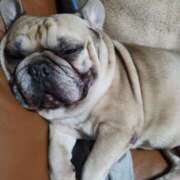 ヒメ日記 2025/05/11 00:46 投稿 Yui ワンカラット～人妻の輝き～