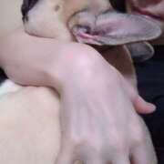 ヒメ日記 2025/05/11 06:32 投稿 Yui ワンカラット～人妻の輝き～