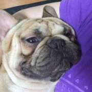 ヒメ日記 2025/05/13 15:30 投稿 Yui ワンカラット～人妻の輝き～