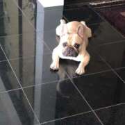 ヒメ日記 2025/05/24 06:40 投稿 Yui ワンカラット～人妻の輝き～