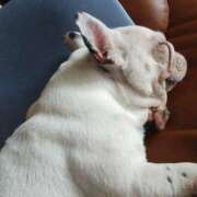 ヒメ日記 2025/08/18 05:09 投稿 Yui ワンカラット～人妻の輝き～