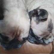 ヒメ日記 2025/08/21 06:20 投稿 Yui ワンカラット～人妻の輝き～