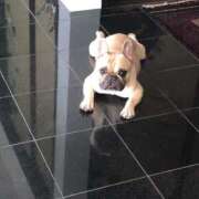 ヒメ日記 2025/09/01 06:01 投稿 Yui ワンカラット～人妻の輝き～