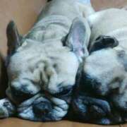 ヒメ日記 2025/10/12 06:41 投稿 Yui ワンカラット～人妻の輝き～