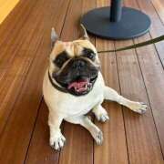 ヒメ日記 2026/01/15 05:50 投稿 Yui ワンカラット～人妻の輝き～