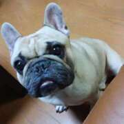 ヒメ日記 2026/01/19 05:56 投稿 Yui ワンカラット～人妻の輝き～