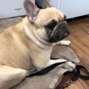 ヒメ日記 2026/02/02 06:06 投稿 Yui ワンカラット～人妻の輝き～