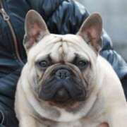 ヒメ日記 2026/02/24 05:33 投稿 Yui ワンカラット～人妻の輝き～