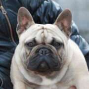 ヒメ日記 2026/03/15 08:42 投稿 Yui ワンカラット～人妻の輝き～