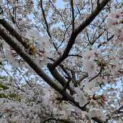 ヒメ日記 2026/04/02 06:34 投稿 Yui ワンカラット～人妻の輝き～