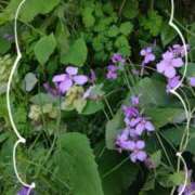 ヒメ日記 2025/05/01 10:40 投稿 みか 人妻日記