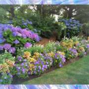 ヒメ日記 2025/06/16 10:10 投稿 みか 人妻日記