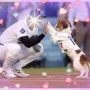 ヒメ日記 2025/10/05 12:35 投稿 みか 人妻日記