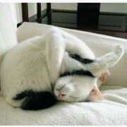 ヒメ日記 2025/11/06 12:00 投稿 みか 人妻日記