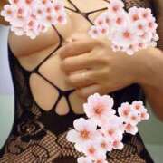 ヒメ日記 2026/03/27 12:00 投稿 ひろ マダムハンズ