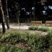 ヒメ日記 2025/05/26 19:56 投稿 りの 快楽玉乱堂