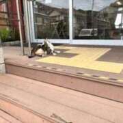 ヒメ日記 2025/07/24 23:16 投稿 りの 快楽玉乱堂