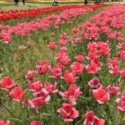 ヒメ日記 2025/08/05 12:56 投稿 りの 快楽玉乱堂