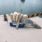 ヒメ日記 2025/09/05 08:06 投稿 りの 快楽玉乱堂