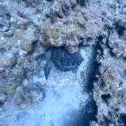 りの こんにちは 快楽玉乱堂