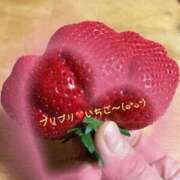 ヒメ日記 2025/03/07 13:55 投稿 りく 快楽玉乱堂