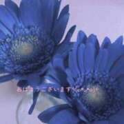 ヒメ日記 2025/07/05 09:06 投稿 りく 快楽玉乱堂