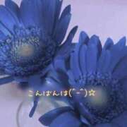 ヒメ日記 2025/09/21 23:16 投稿 りく 快楽玉乱堂