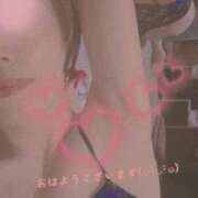 ヒメ日記 2025/11/25 09:26 投稿 りく 快楽玉乱堂