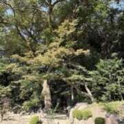 りく おはようございます?(*´?`*)?? 快楽玉乱堂