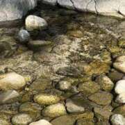 ヒメ日記 2025/12/21 09:16 投稿 りく 快楽玉乱堂