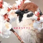 ヒメ日記 2026/05/23 09:16 投稿 りく 快楽玉乱堂
