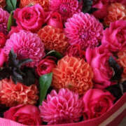 ヒメ日記 2025/05/26 10:21 投稿 藤原 あゆみ 30代40代50代と遊ぶなら博多人妻専科24時