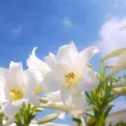 ヒメ日記 2025/08/22 11:57 投稿 藤原 あゆみ 30代40代50代と遊ぶなら博多人妻専科24時