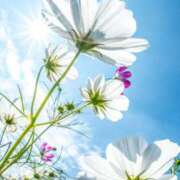 ヒメ日記 2025/10/18 19:42 投稿 藤原 あゆみ 30代40代50代と遊ぶなら博多人妻専科24時