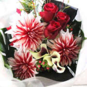 ヒメ日記 2026/01/31 18:25 投稿 藤原 あゆみ 30代40代50代と遊ぶなら博多人妻専科24時