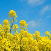 ヒメ日記 2026/02/19 09:39 投稿 藤原 あゆみ 30代40代50代と遊ぶなら博多人妻専科24時