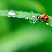 藤原 あゆみ おはようございます♪ 30代40代50代と遊ぶなら博多人妻専科24時