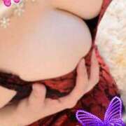 ヒメ日記 2025/05/09 10:38 投稿 葉山　めぐみ 30代40代50代と遊ぶなら博多人妻専科24時