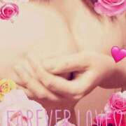 ヒメ日記 2025/06/19 14:48 投稿 葉山　めぐみ 30代40代50代と遊ぶなら博多人妻専科24時