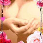 ヒメ日記 2026/01/04 16:11 投稿 葉山　めぐみ 30代40代50代と遊ぶなら博多人妻専科24時