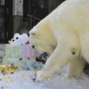 ヒメ日記 2024/12/09 13:31 投稿 星川　美貴 30代40代50代と遊ぶなら博多人妻専科24時