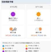 ヒメ日記 2025/03/10 06:22 投稿 星川　美貴 30代40代50代と遊ぶなら博多人妻専科24時