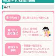 ヒメ日記 2025/03/17 14:46 投稿 星川　美貴 30代40代50代と遊ぶなら博多人妻専科24時