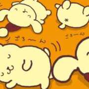 ヒメ日記 2025/03/20 16:28 投稿 星川　美貴 30代40代50代と遊ぶなら博多人妻専科24時