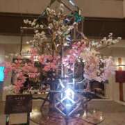 ヒメ日記 2025/03/26 13:16 投稿 星川　美貴 30代40代50代と遊ぶなら博多人妻専科24時